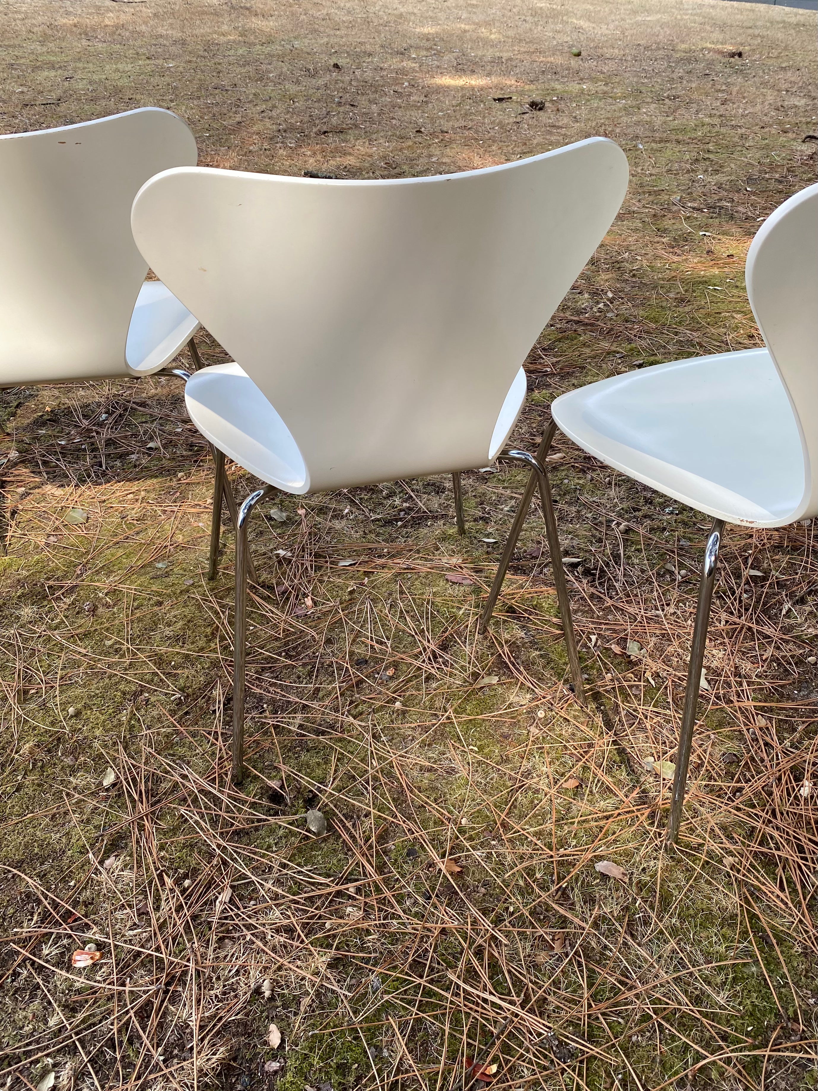 8 chaises « Série 7 » du designer Arne Jacobsen