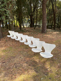 8 chaises « Série 7 » du designer Arne Jacobsen