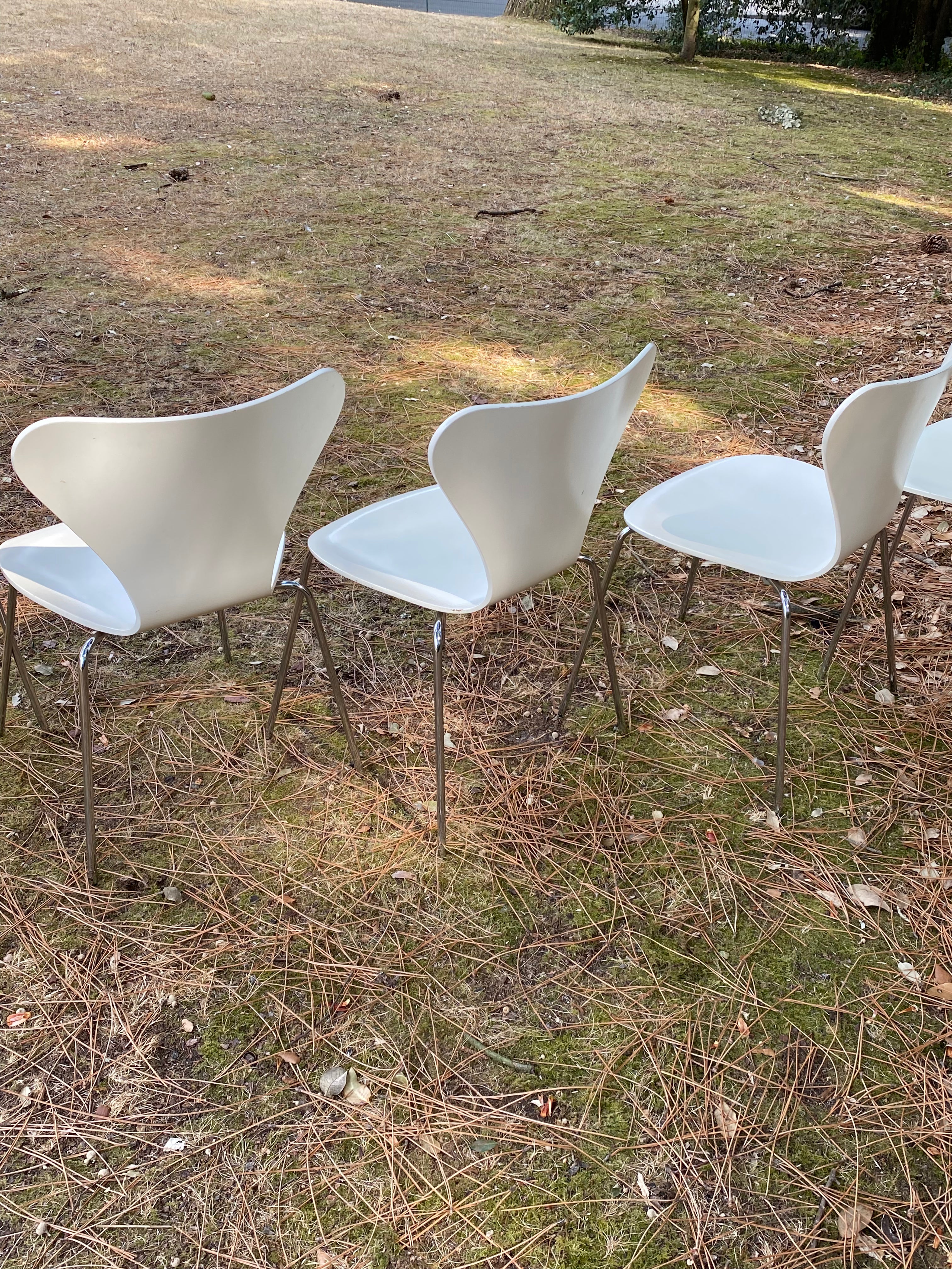 8 chaises « Série 7 » du designer Arne Jacobsen